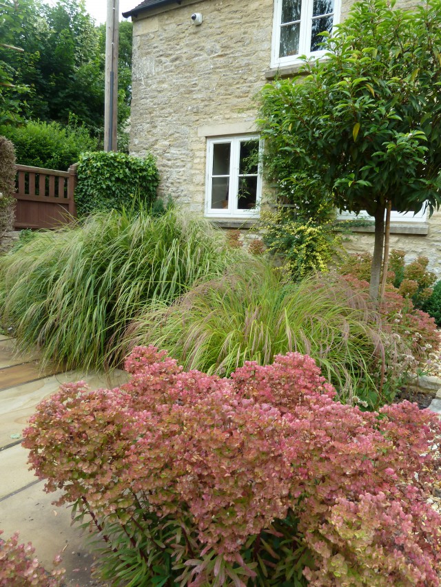 Contemporary Garden in Cirencester 6