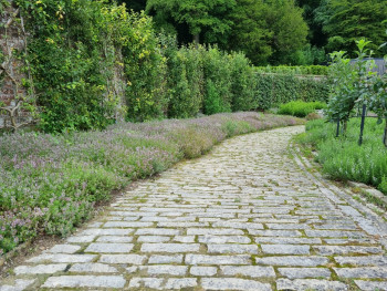 Cobbled Path