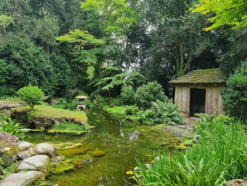 Japanese Garden Design